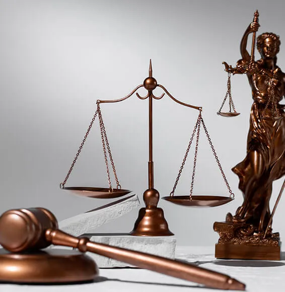 Abogados5-min_5_11zon